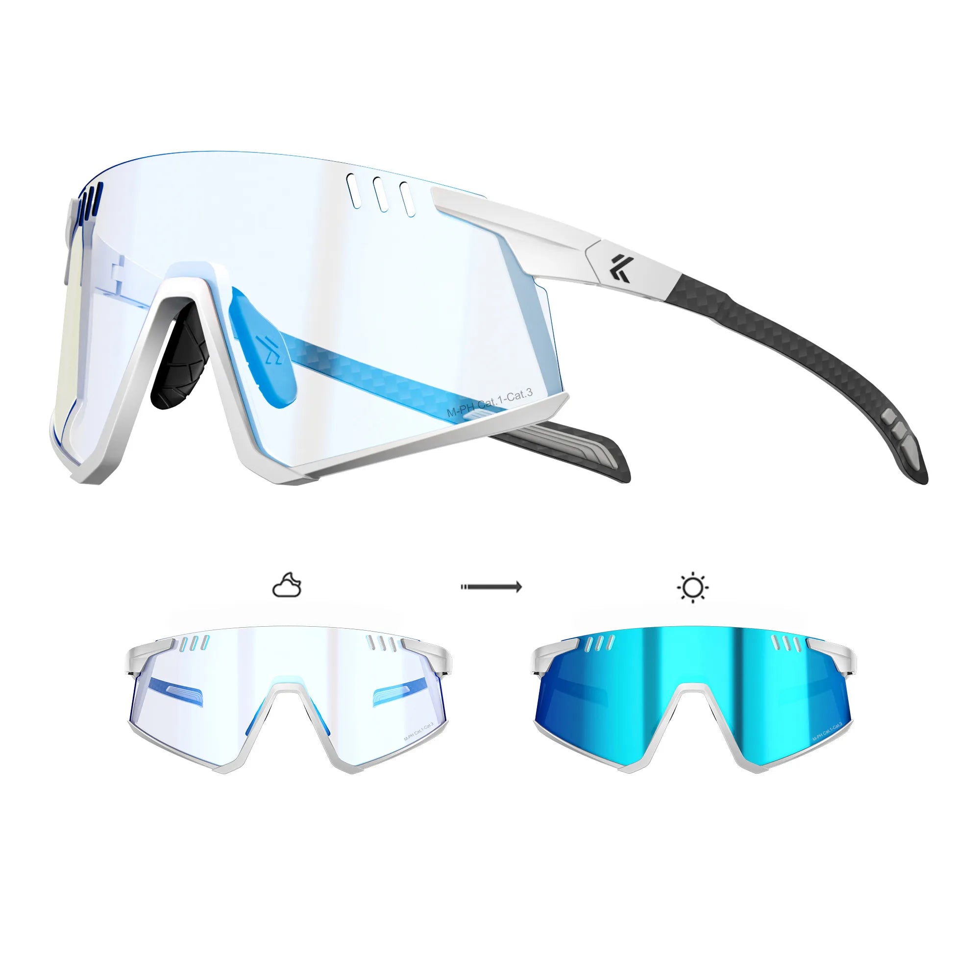 Flamingo Photochromic