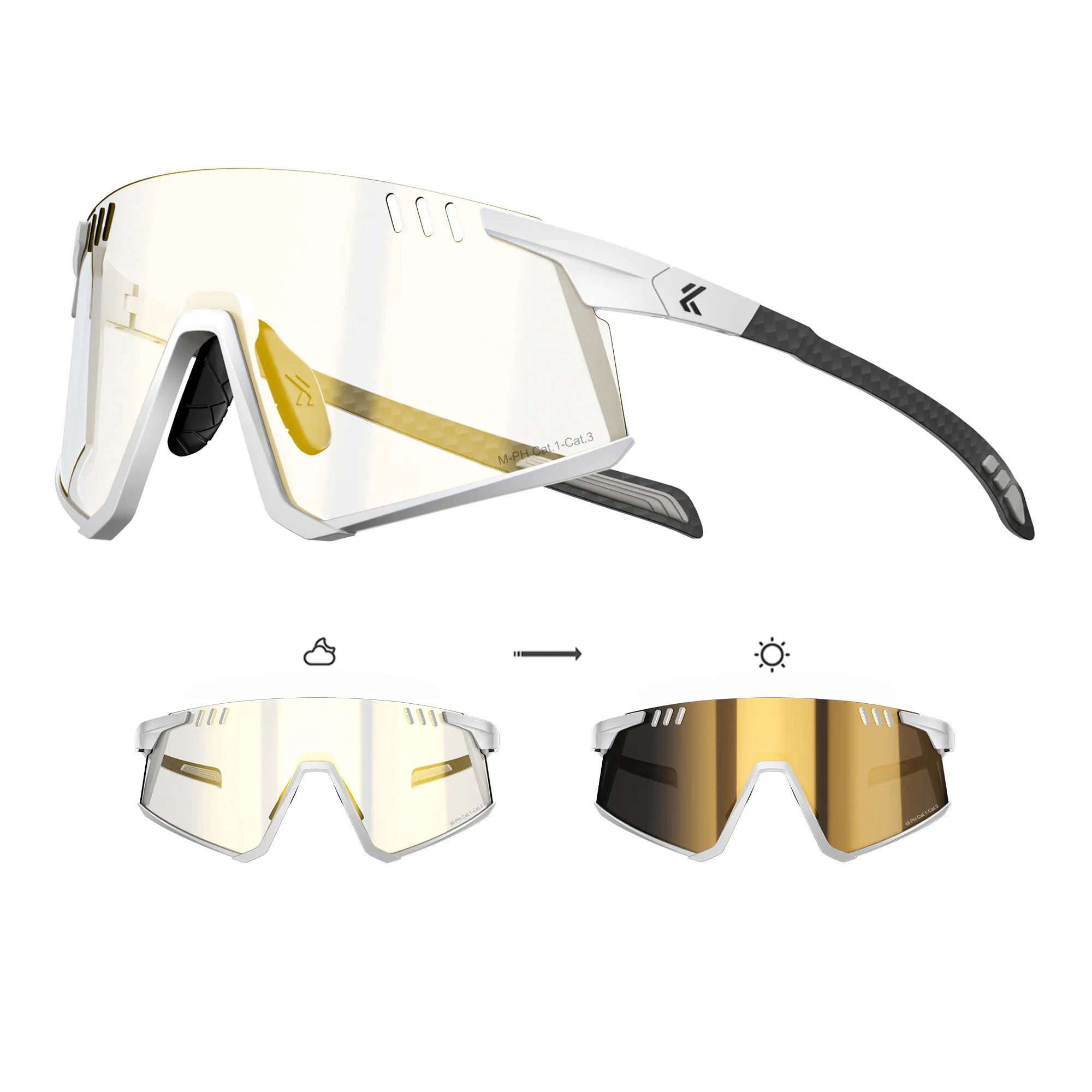 Flamingo Photochromic