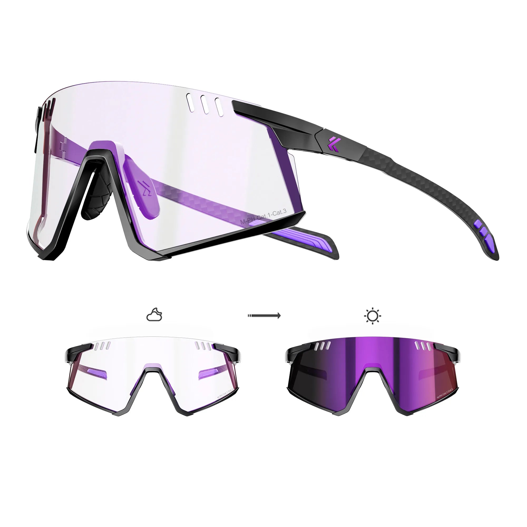 Flamingo Photochromic