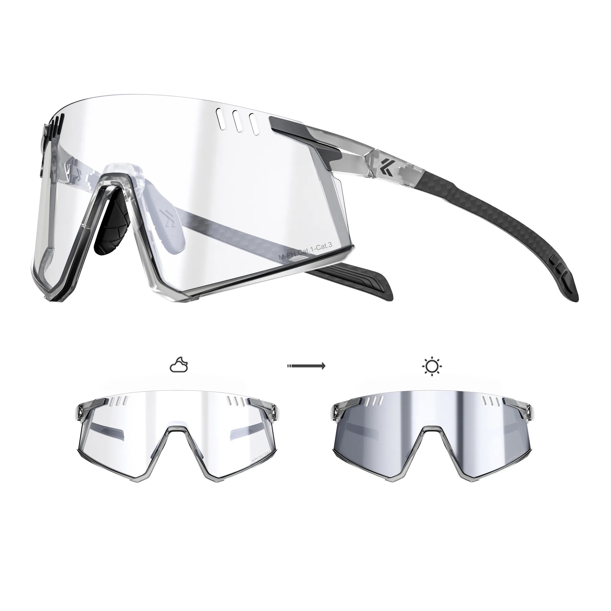 Flamingo Photochromic