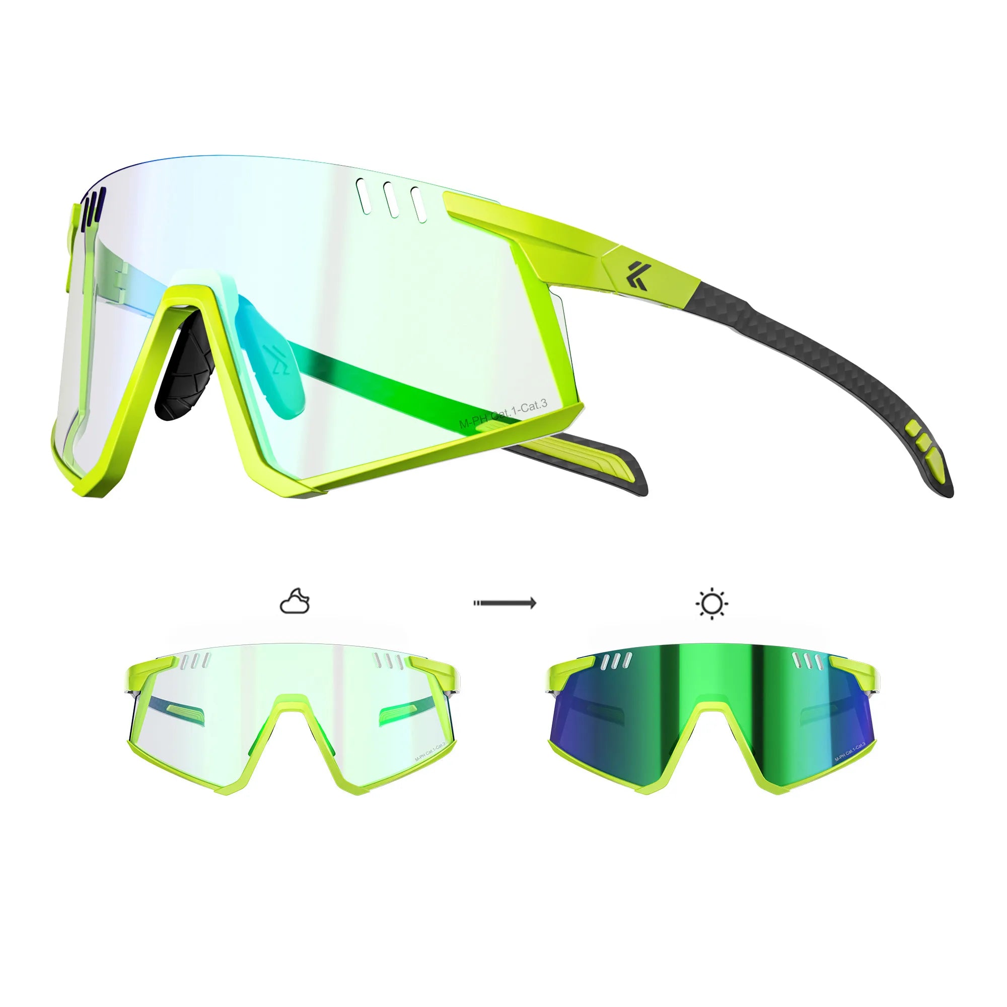 Flamingo Photochromic