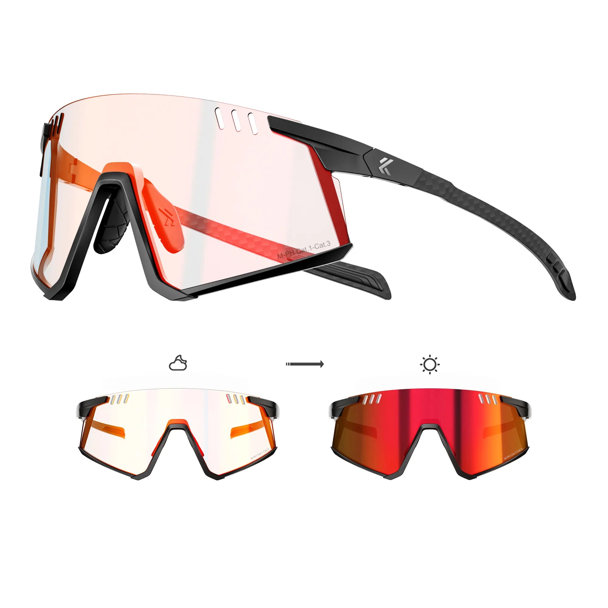 Flamingo Photochromic