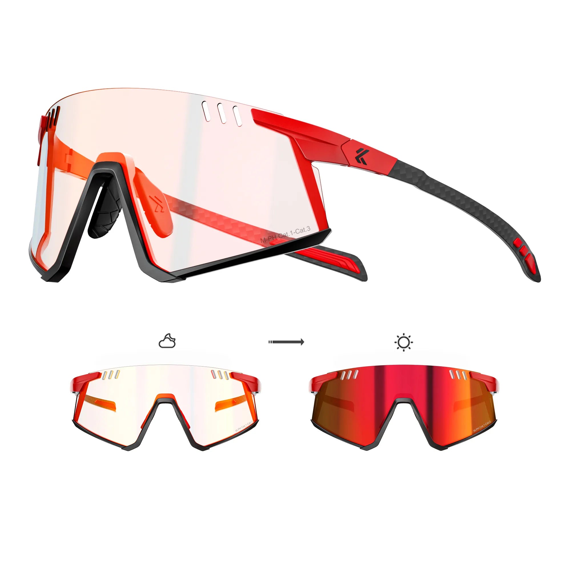 Flamingo Photochromic